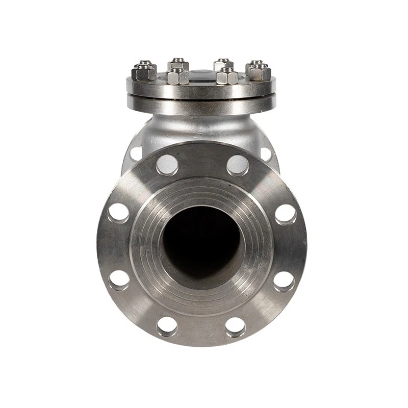 Check Valves (10)